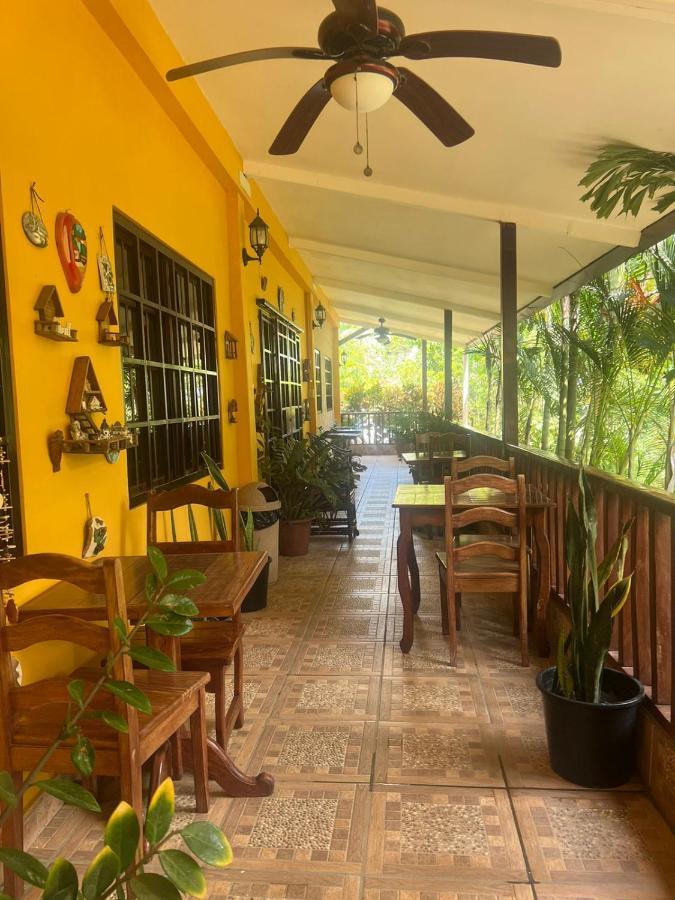 דויד Hotel Ecologico Bluerock מראה חיצוני תמונה