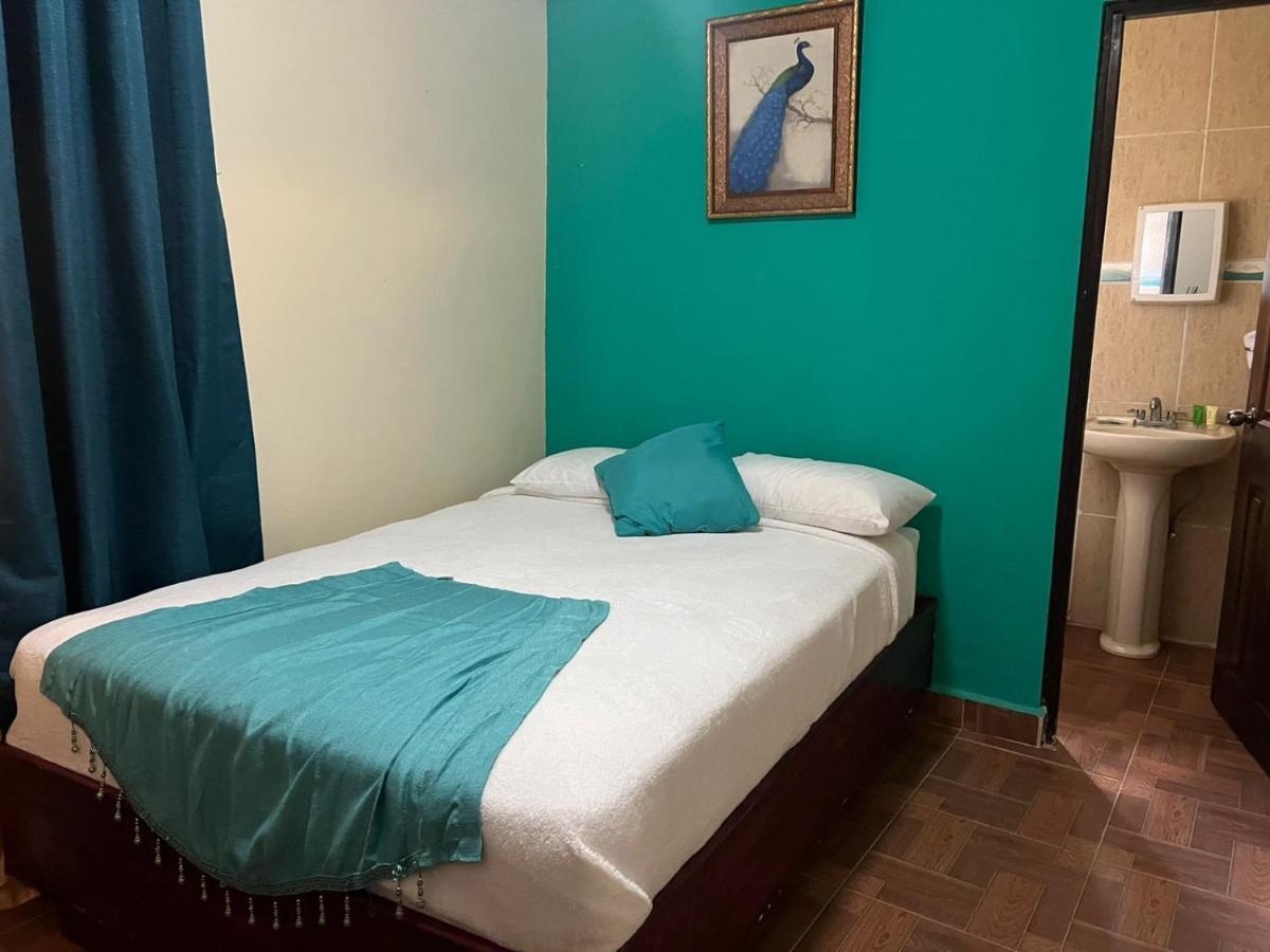 דויד Hotel Ecologico Bluerock מראה חיצוני תמונה