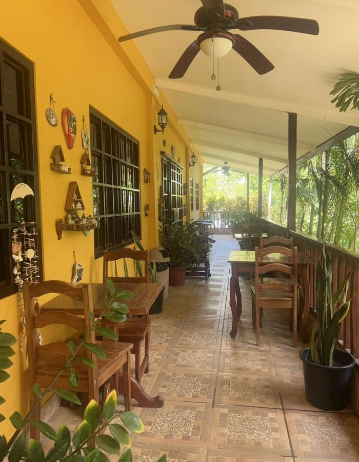 דויד Hotel Ecologico Bluerock מראה חיצוני תמונה
